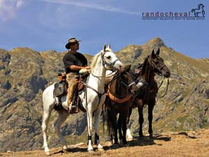 Free wallpaper about our horse riding trails in Bulgaria