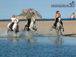 Fond d'&eacute;cran gratuit - &agrave; cheval sur la plage en Espagne - Randocheval