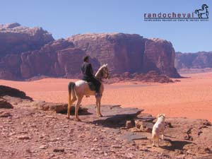 Fond d'&eacute;cran gratuit - Randonn&eacute;e &agrave; cheval dans le D&eacute;sert du Wadi Rum en Jordanie - Randocheval