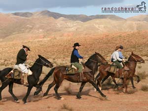 Free wallpaper about our horse riding trails in Argentina (Andes - Salta)