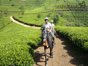 Fond d'&eacute;cran gratuit de nos randonn&eacute;es &agrave; cheval au Sri Lanka