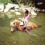 Randonn&eacute;e &eacute;questre adapt&eacute;e aux enfants et aux adolescents - Rando Cheval / Absolu Voyages