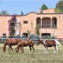 Randonn&eacute;es &eacute;questres de luxe, avec h&eacute;bergements de charme - Rando Cheval / Absolu Voyages