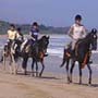Randonn&eacute;es &eacute;questre au Sri Lanka