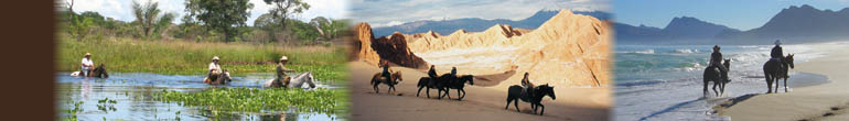 Bandeau Rando Cheval