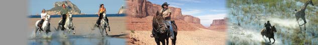 Bandeau Rando Cheval