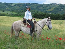 Randonn�e �questre dans la r�gion des Abruzzes en Italie du Sud - Randocheval / Absolu Voyages