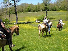 Colorful lands during spring, join us... Italy - Randocheval
