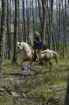 Fulmine will show the more beautiful places of the Abruzzo National Park - Randocheval