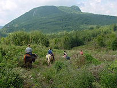 Au coeur du parc National des Arbuzzes, Italie - Randocheval / Absolu Voyages