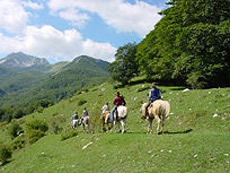 In the heart of Abruzzo National Park - Randocheval