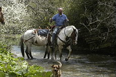 Le guide Carmine dans les Abruzzes Italie - Randocheval / Absolu Voyages