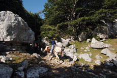 Randonn&eacute;e &eacute;questre dans la r&eacute;gion des Abruzzes au Sud de l'Italie - Randocheval / Absolu Voyages