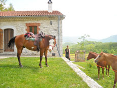 Chevaux &agrave; l'attache &agrave; la ferme de nos guides - RANDOCHEVAL