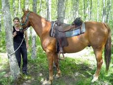 Chevaux Quarter Horses et Sellerie Western sur nos randonn&eacute;es dans les Abruzzes - RANDOCHEVAL