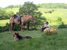 Petite pause dans les vertes prairies des Abruzzes - Randocheval