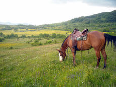 petite pasue avant de reprendre le chemin - Abruzzes Italie RANDOCHEVAL
