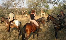 Meet the giraffes on horseback - Randocheval / Absolu Voyages
