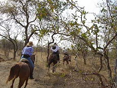 Garonga unique safari in South Africa - Randocheval / Absolu Voyages