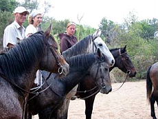 Ride a unique horse riding safari in South Africa - Randocheval / Absolu Voyages