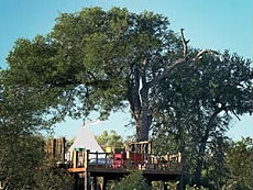 Horse treks, Safari Makalali Ride  in South Africa, Lunch in the trees at Garonga - Randocheval / Absolu Voyages
