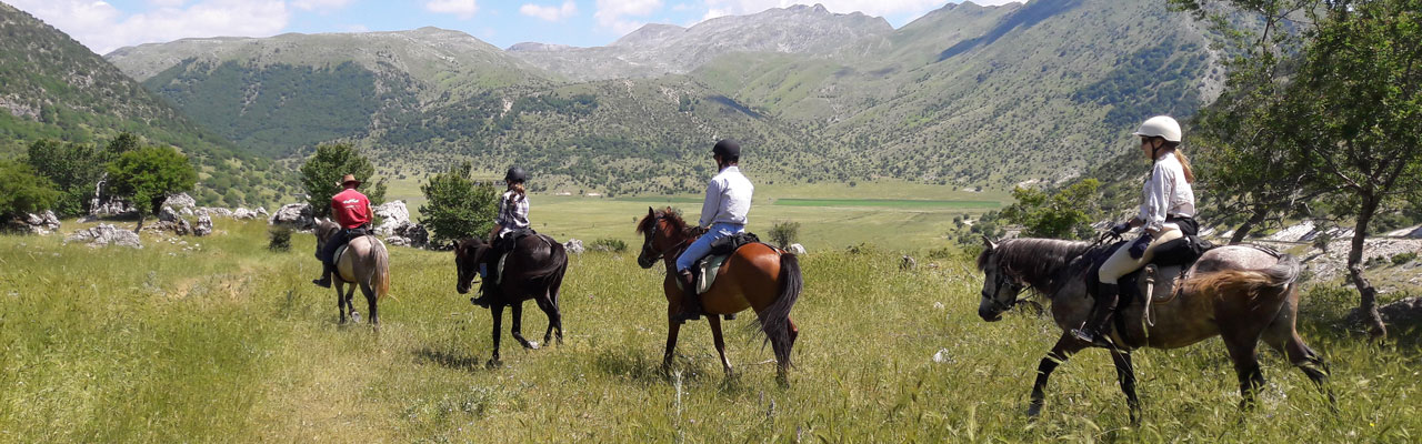 randonnee cheval 04