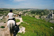 Photo  de la r&eacute;gion - Alpilles - Rando Cheval