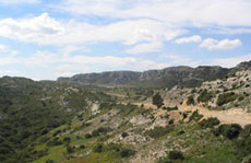 Photo  de la r&eacute;gion - Alpilles - Rando Cheval