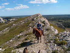 Randonn&eacute;e &eacute;questre dans les Alpilles (France) - Rando Cheval / Absolu Voyages