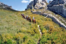 Photo Alpilles - Rando Cheval