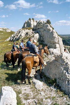 Randonn&eacute;e &eacute;questre en Provence dans les Alpilles - Rando Cheval