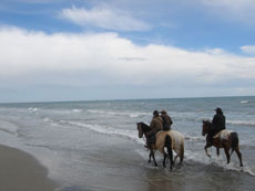 Alpilles/Camargues - sur la plage 