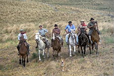 S&eacute;jour dans une estancia en activit&eacute; dans la Pampa de Cordoba - partagez la vie des gauchos ! Rando Cheval / Absolu Voyages