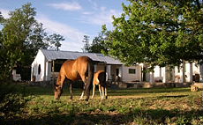 Tout confot dans cette estancia pr&egrave;s de Buenos Aires - RANDOCHEVAL