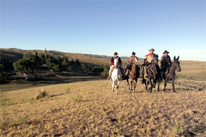 Argentina - Western horse riding trail and working horse riding with Chilean gauchos, the South American cowboys