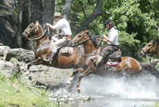 join us to experienced a fast riding on criollo horseback - Randocheval
