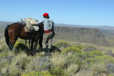 Discover a wide open spaces in Argentina - Randocheval