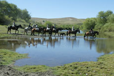 Trail riding from Estancia to Estancia in Argentina - Randocheval