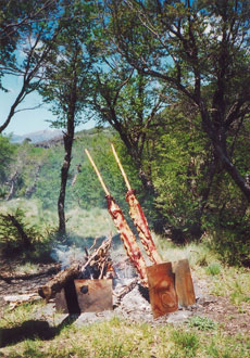 Famous argentinian asado (barbecue) - Randocheval