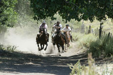 Fast canter during our ride at the estancia  - Randocheval