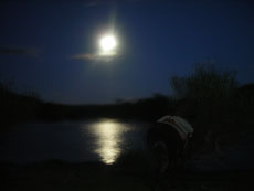 Asado by the river - Randocheval