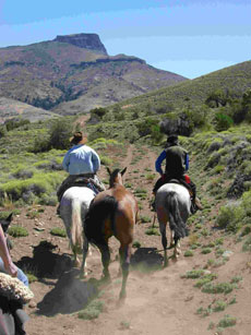 Wide open space of Patagonia - Randocheval
