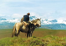 Horse riding experience in the wild open spaces of patagonian argentina - Randocheval