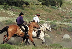Horse riding trail in Patagonian Argentina - Randocheval
