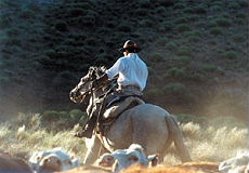 Experience the wide hospitality of a traditional patagonian estancia - Randocheval