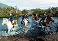 Across a patagonian river on criollo's back - Argentina