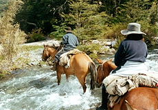 Across wild rivers in Patagonia - Randocheval