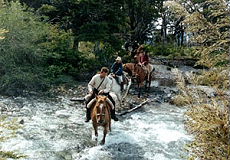 Discover a wild and untouched nature in argentina on horseback - Randocheval
