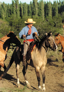 Randocheval - Gaucho Argentin