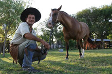 Chevaux Criollos et encadrement par des gauchos  Estancia pr&egrave;s de Buenos Aires - Randocheval